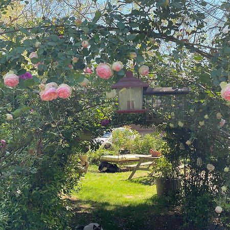 Gites Le Pimayon Manosque Kültér fotó