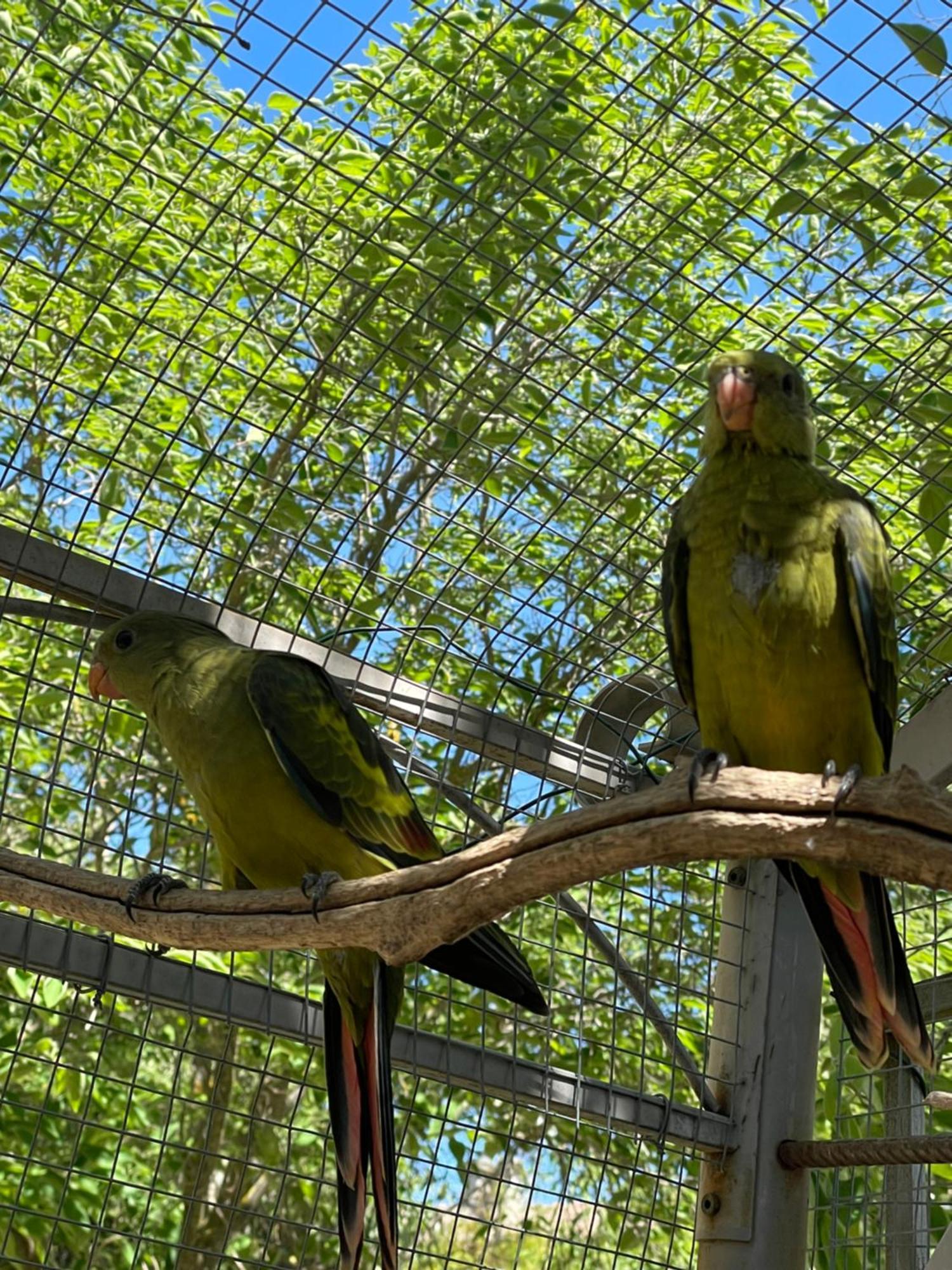 Gites Le Pimayon Manosque Kültér fotó