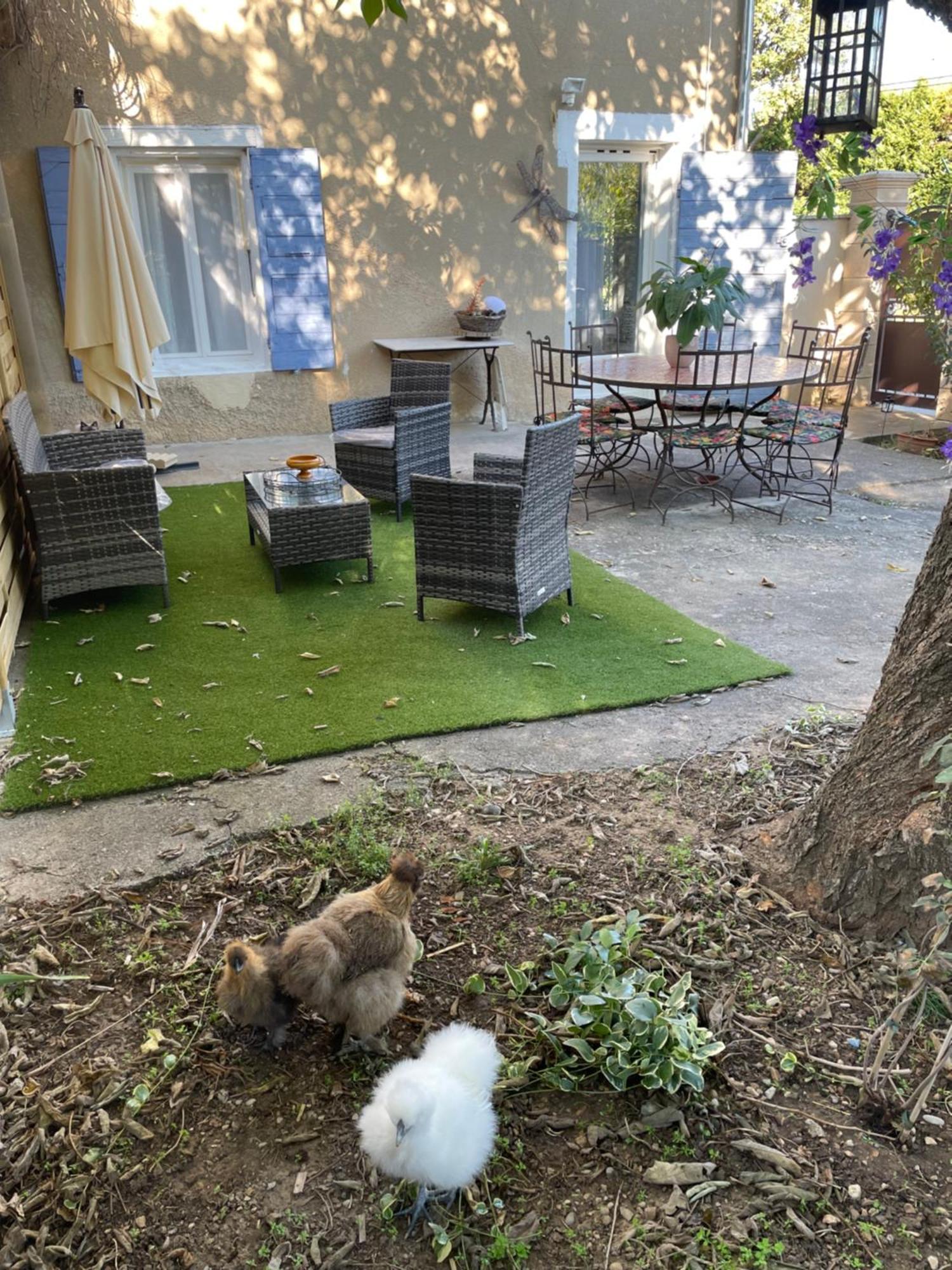 Gites Le Pimayon Manosque Kültér fotó