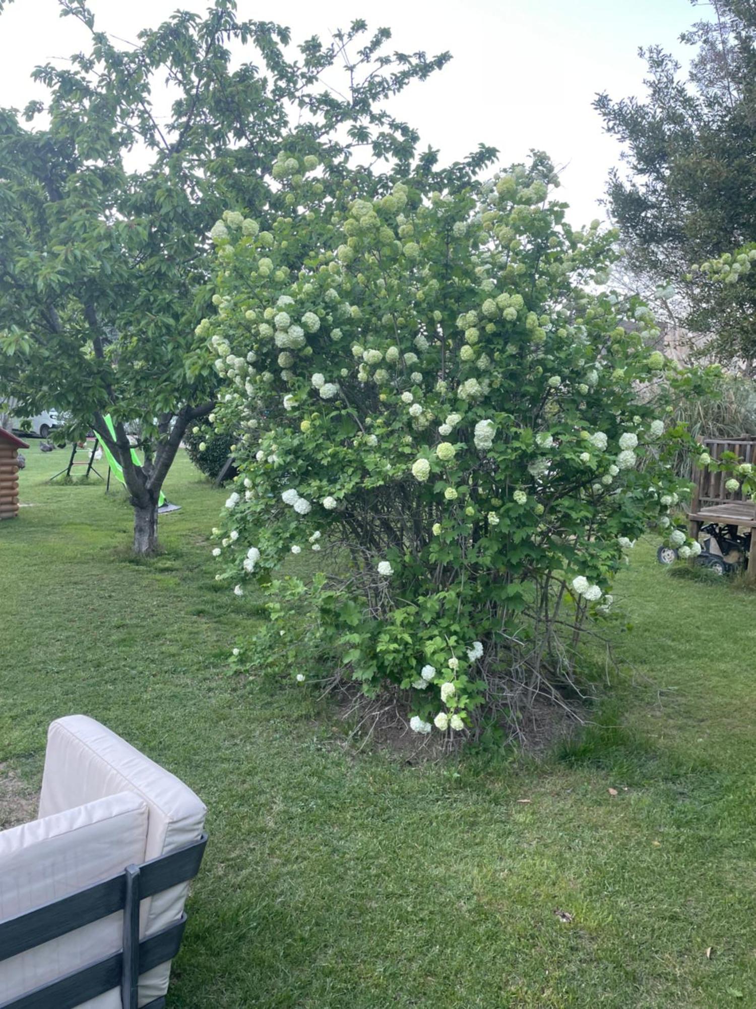 Gites Le Pimayon Manosque Kültér fotó
